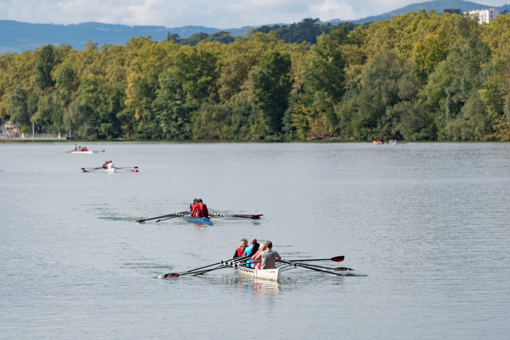 Copyright Aviron club Lyon Caluire