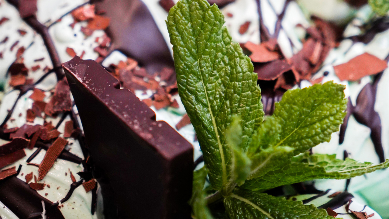 Copyright Nougatella