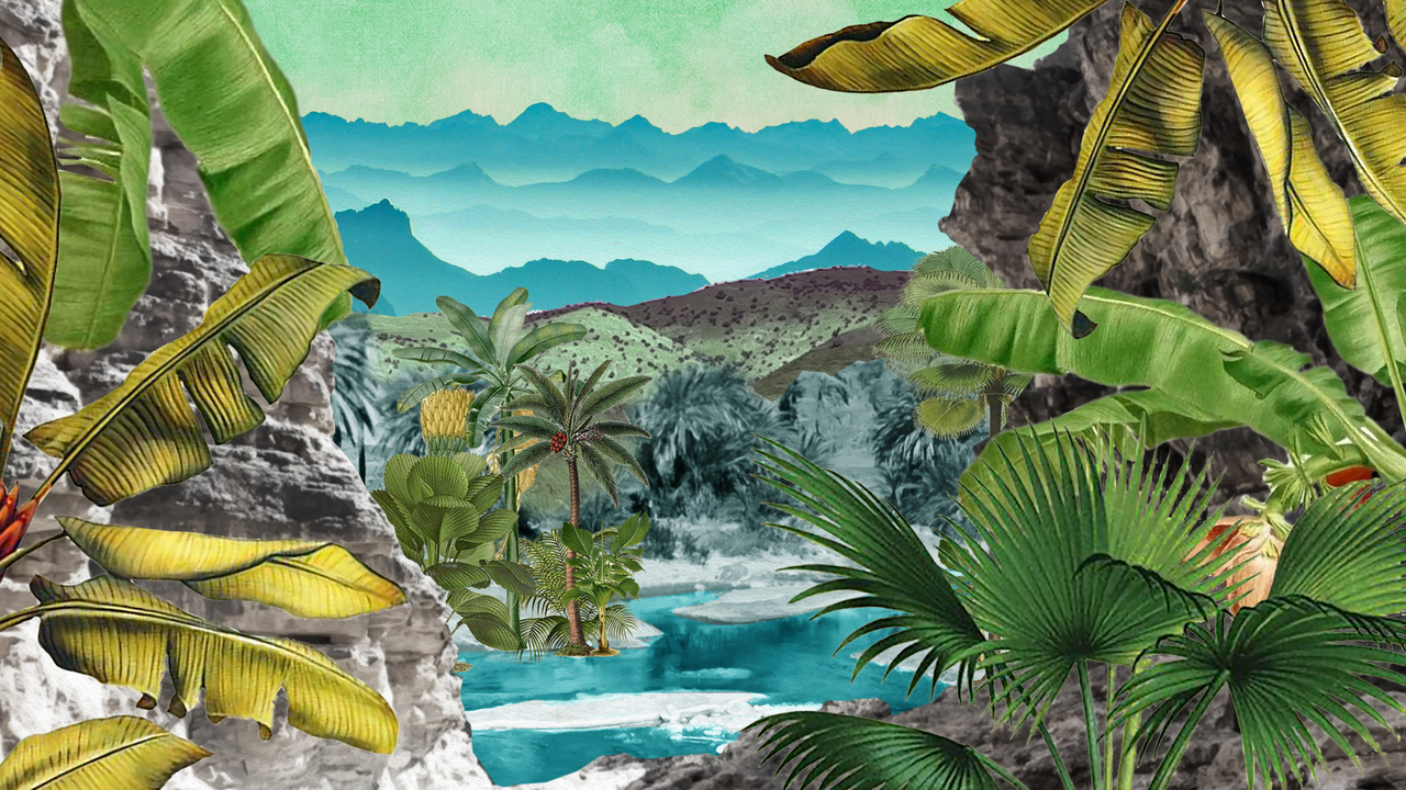 Copyright Judith Chomel