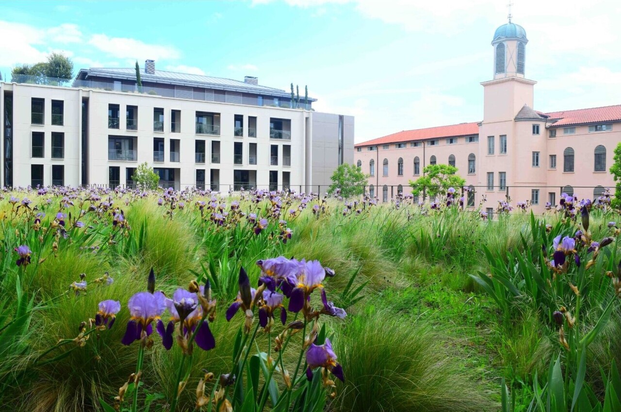 Copyright ECCLY - Antiquaille