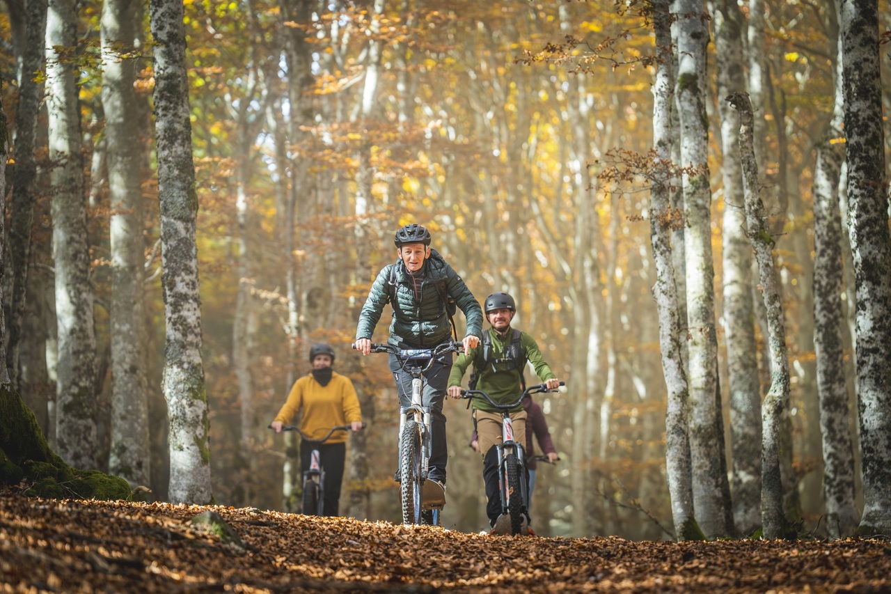 Copyright Benjamin Becker