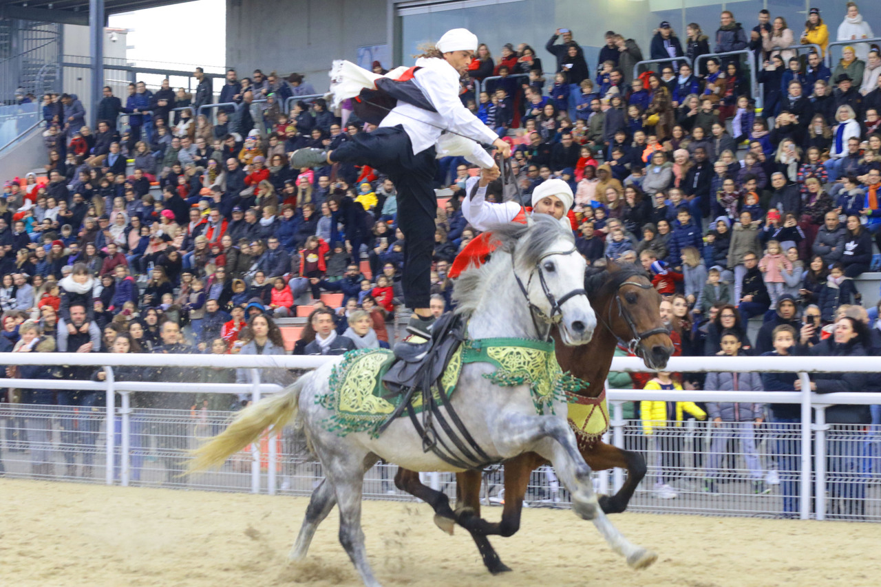 Copyright Les Hippodromes de Lyon