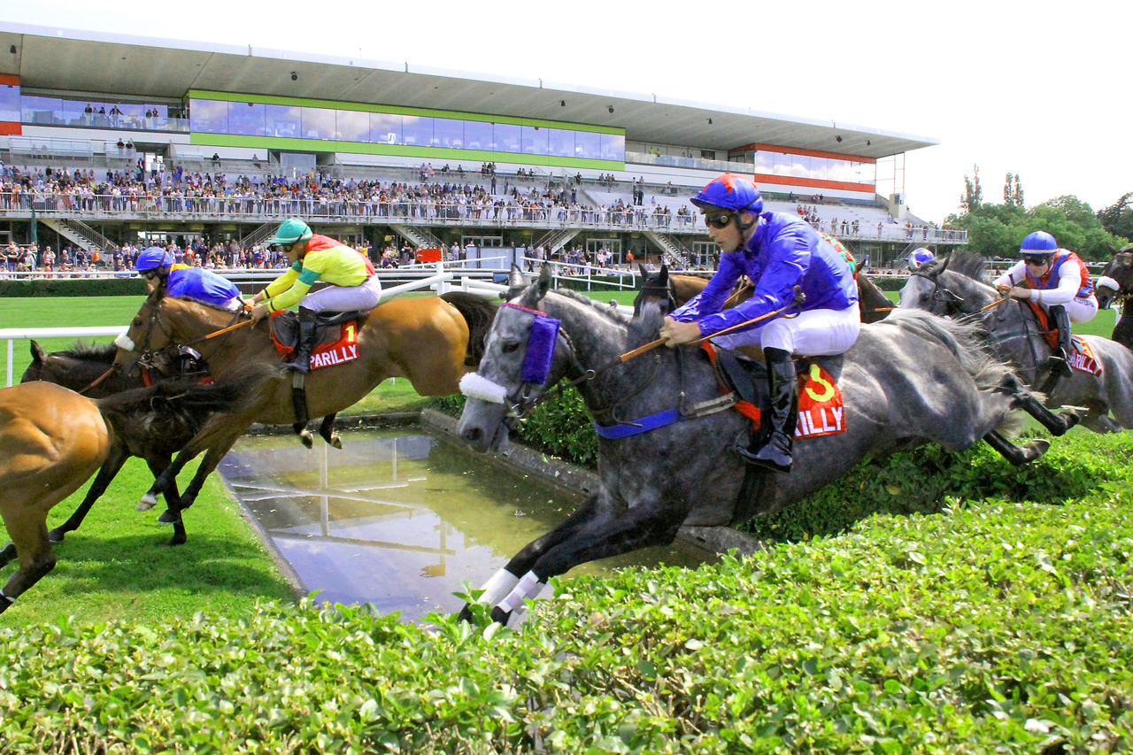 Copyright Les Hippodromes de Lyon