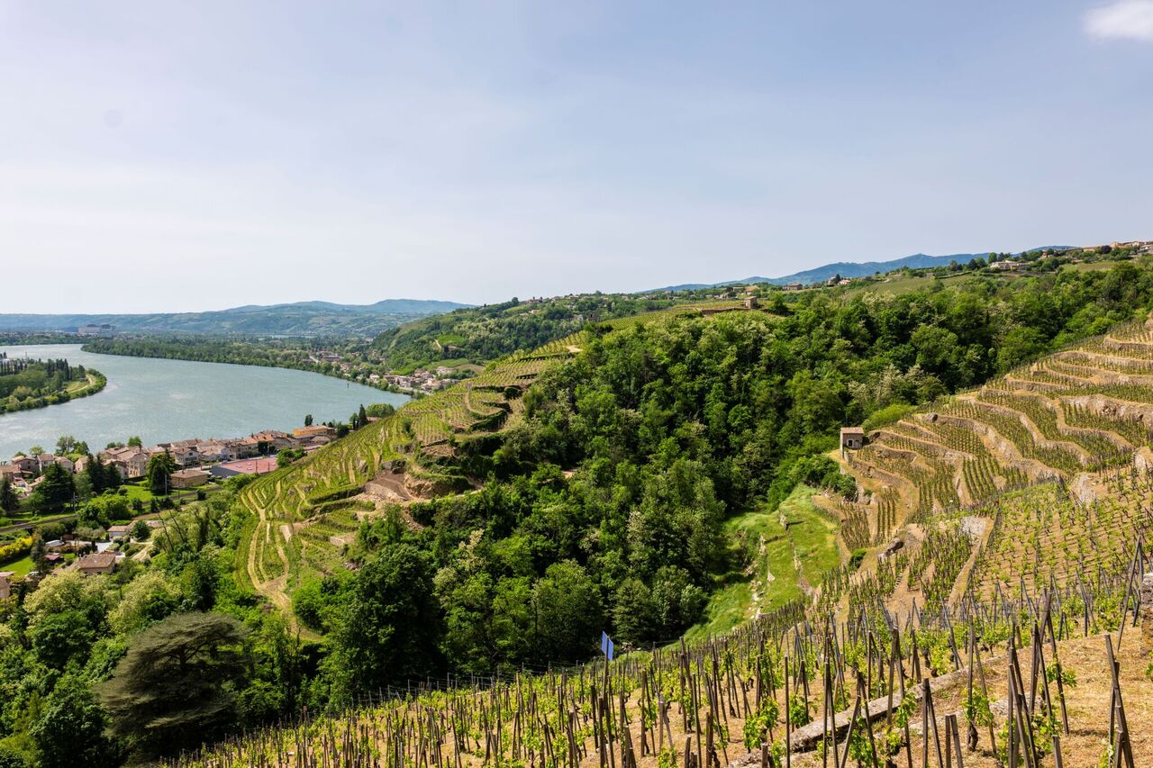 Copyright Brunsky Photography