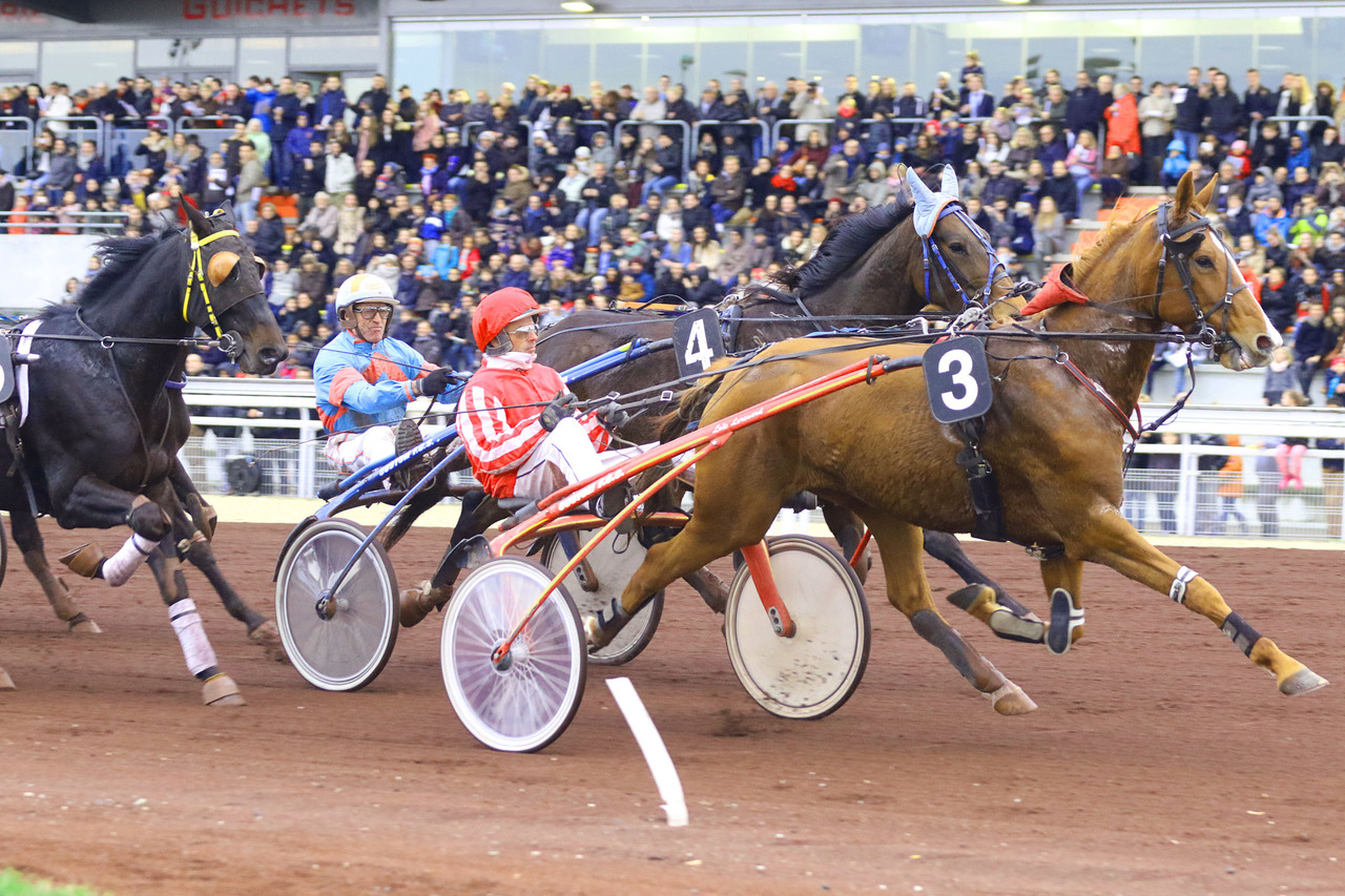 Copyright Les Hippodromes de Lyon