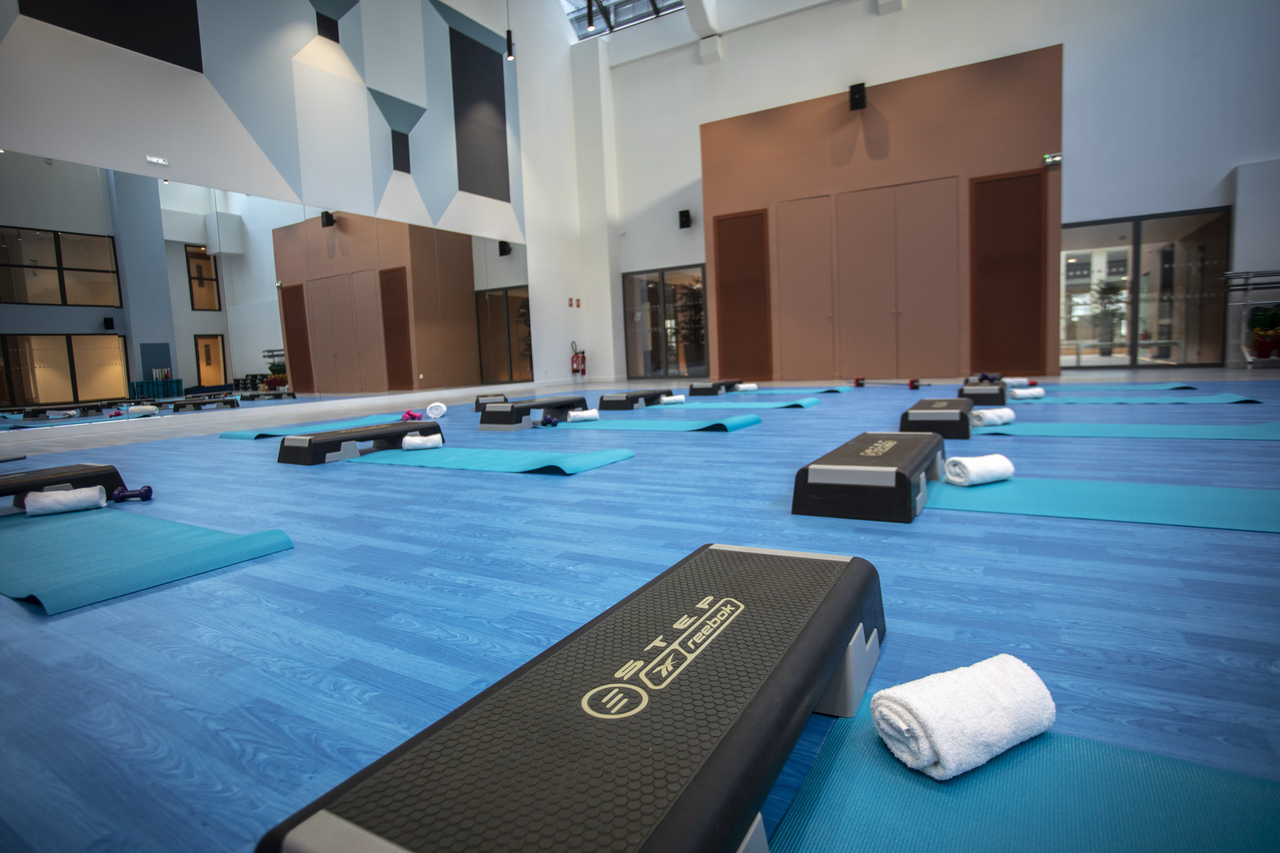 Copyright ©Alexandre Moulard