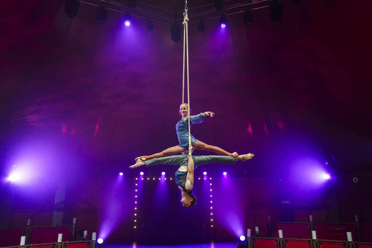 Copyright Victoria Kosheleva