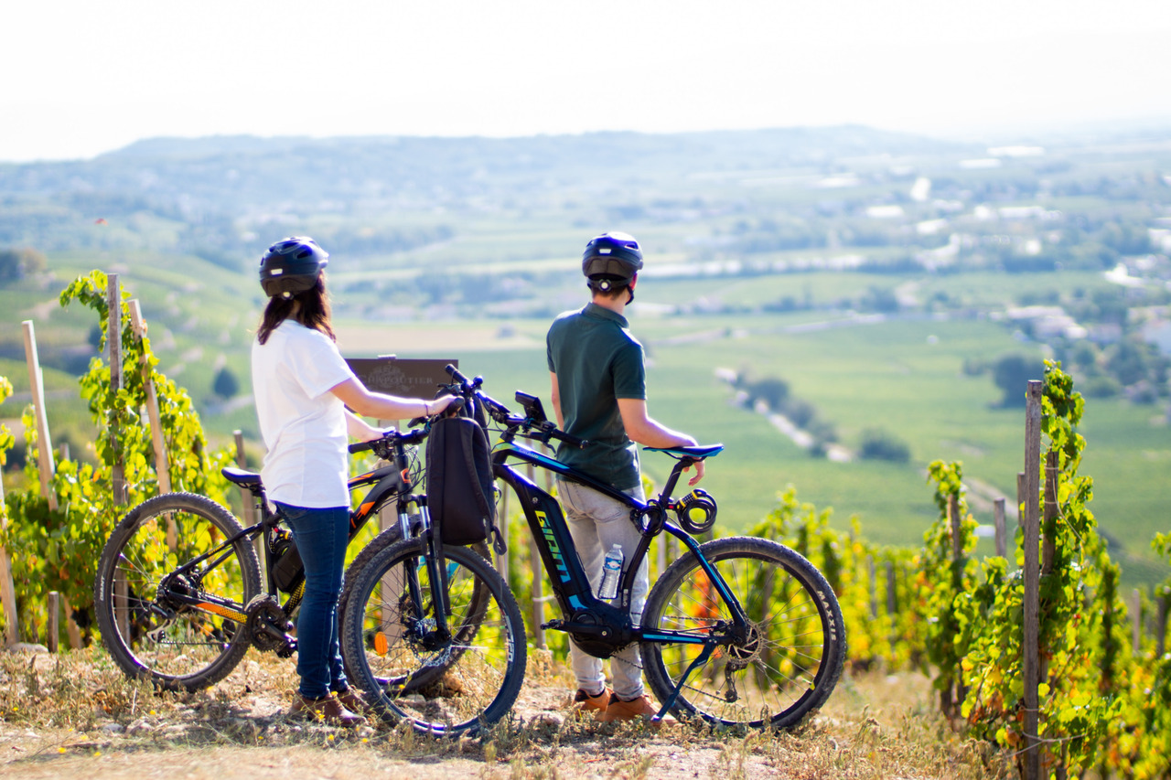 Copyright Ecole M. CHAPOUTIER