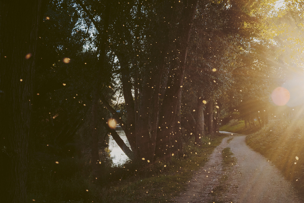 Copyright Letizia Le Fur