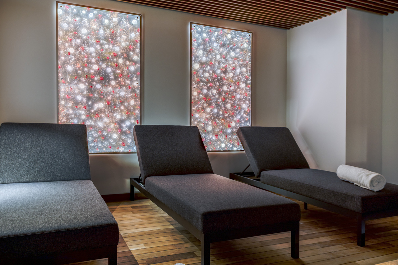 Copyright ©Alexandre Moulard