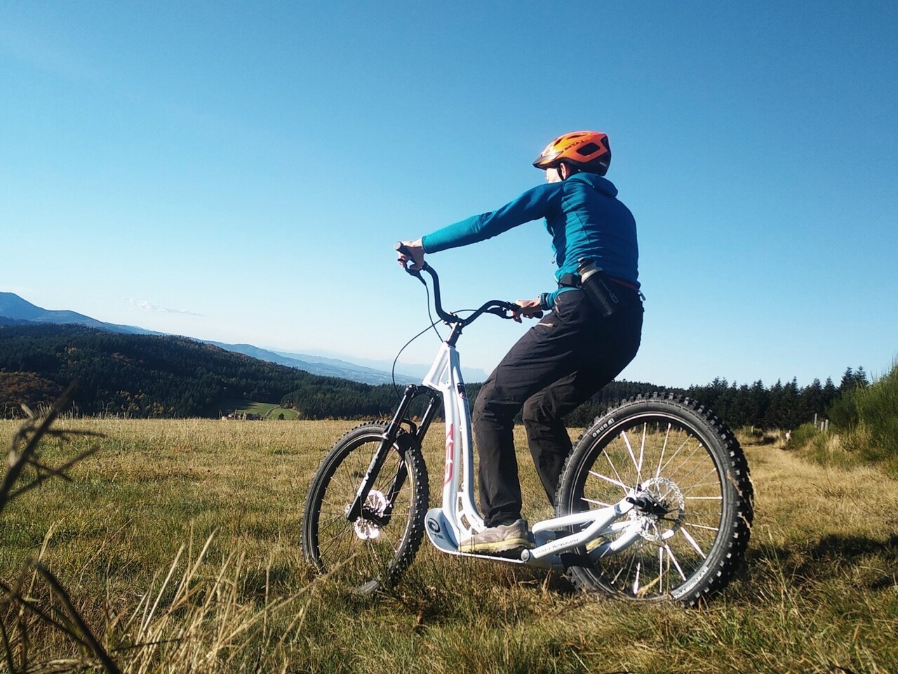 Copyright Trottnature