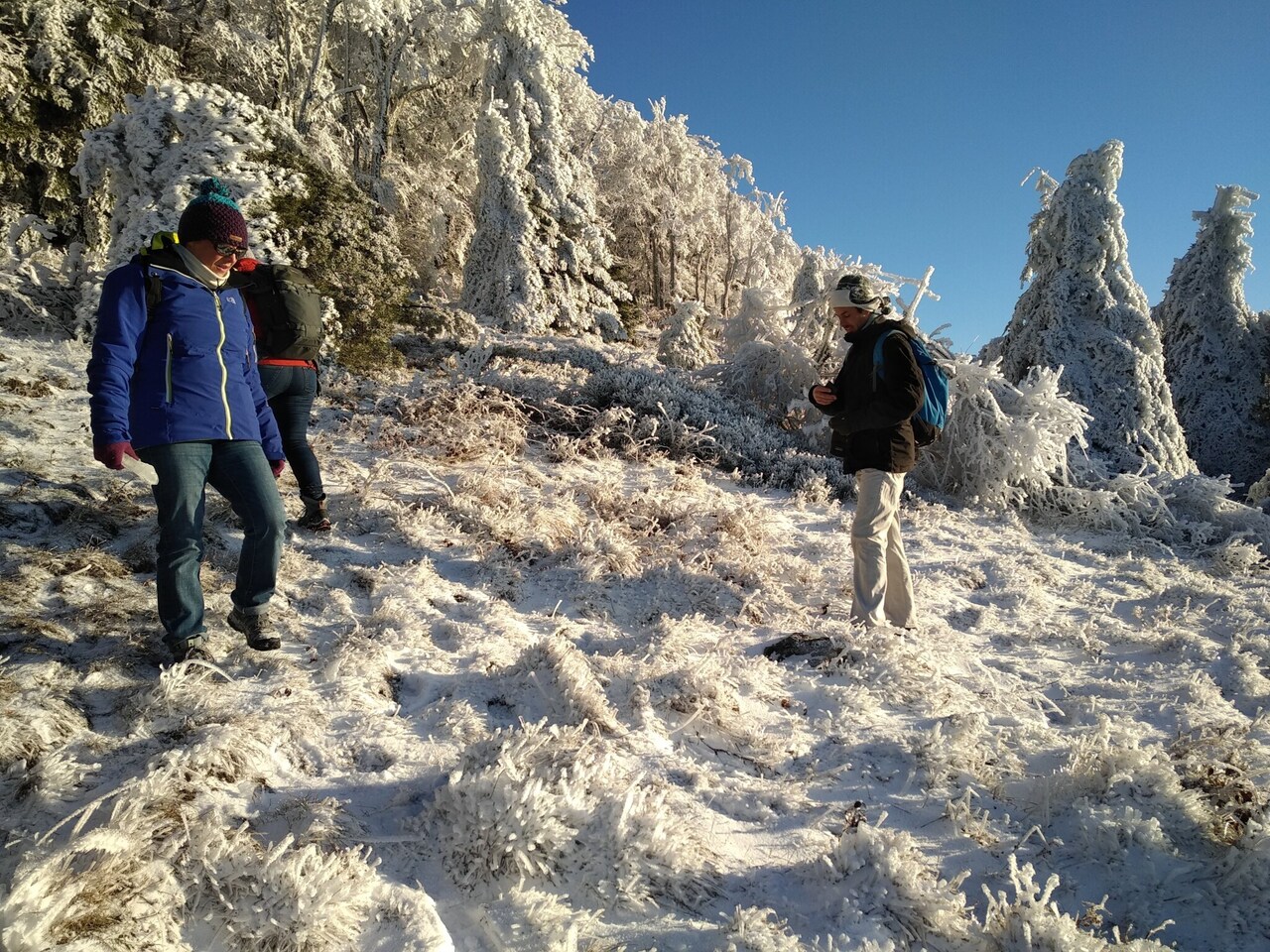 Copyright crédit trottnature