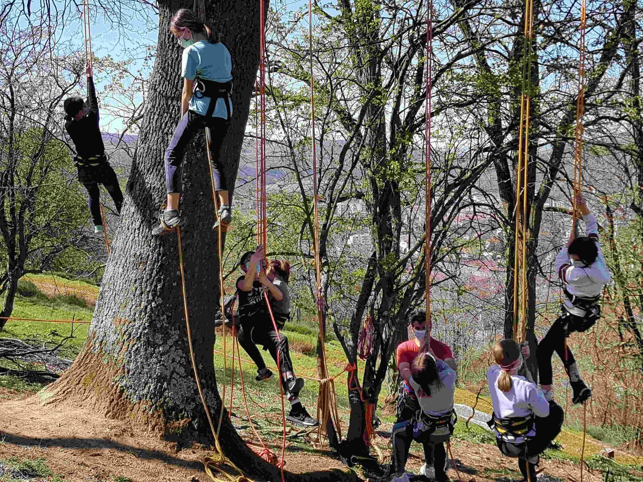 Copyright Mille natures