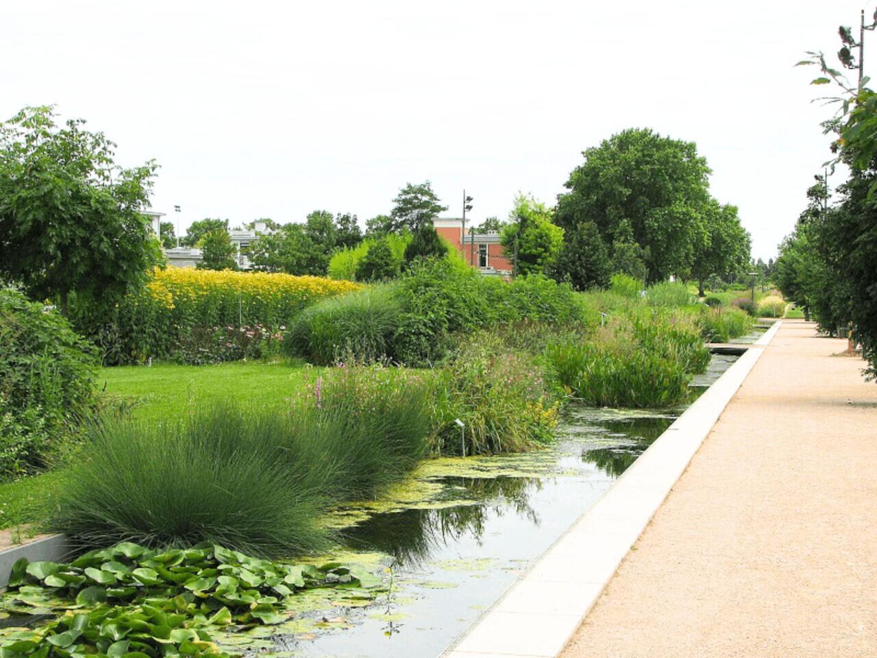 Copyright EcoNature/Céline Céline Saccardi