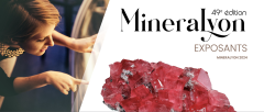 Copyright Mineralyon