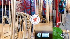 Copyright Brochier Soieries Vieux Lyon