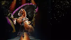 Copyright LDLC Arena