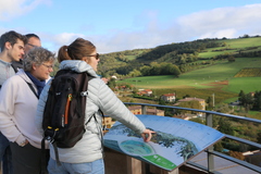 Copyright T.Blanchier - Beaujolais Tourisme