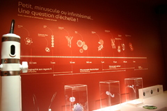 Copyright Musée de sciences biologiques Dr Mérieux