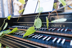 Copyright William Sundfor