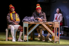 Copyright Guy Carlier