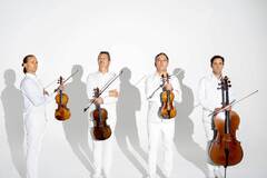 Copyright Gilles Pautigny