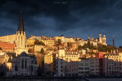 Copyright Lyon & Grace