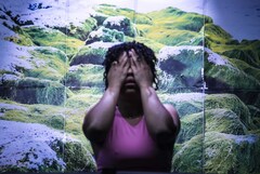 Copyright Bertrand Gaudillère