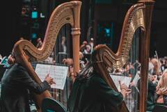 Copyright © MX France