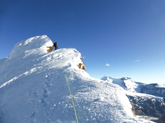 Copyright Henry Bizot