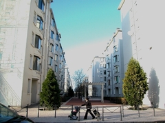 Copyright © Didier Cataldo - CMTG