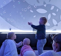 Copyright © musée des Confluences - S. Roux