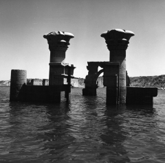 Copyright Gihane Zaki