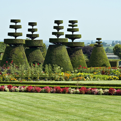 Jardin à la française