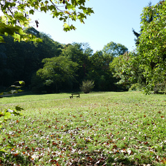 Parc naturel de l'Yzeron