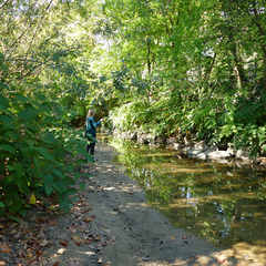 Parc naturel de l'Yzeron