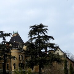 Château de Rochetaillée