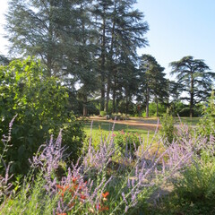 Parc du château de Rochetaillée