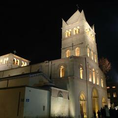 Basilique - Abbaye Saint Martin d'Ainay