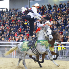 Spectacle équestre RDLS