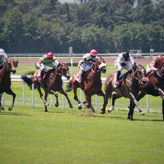 Grand Prix de Lyon