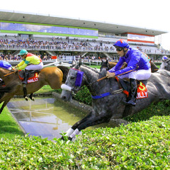 Steeple-Chase de Parilly