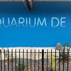 Aquarium de Lyon_La Mulatière