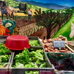 Marché Place Carnot