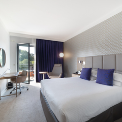 Crowne Plaza Lyon