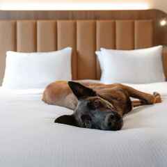 Hôtel DoubleTree by Hilton Lyon Eurexpo & Spa_Saint-Priest