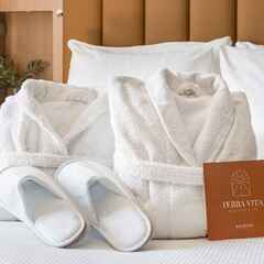 Hôtel DoubleTree by Hilton Lyon Eurexpo & Spa_Saint-Priest