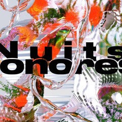 Nuits Sonores_La Mulatière
