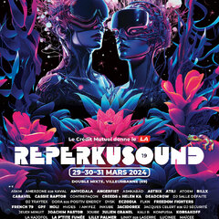 Affiche du Festival Reperkusound 2024