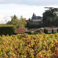 99ème Marché aux Vins du Beaujolais, Mâconnais, Chalonnais_Fleurie